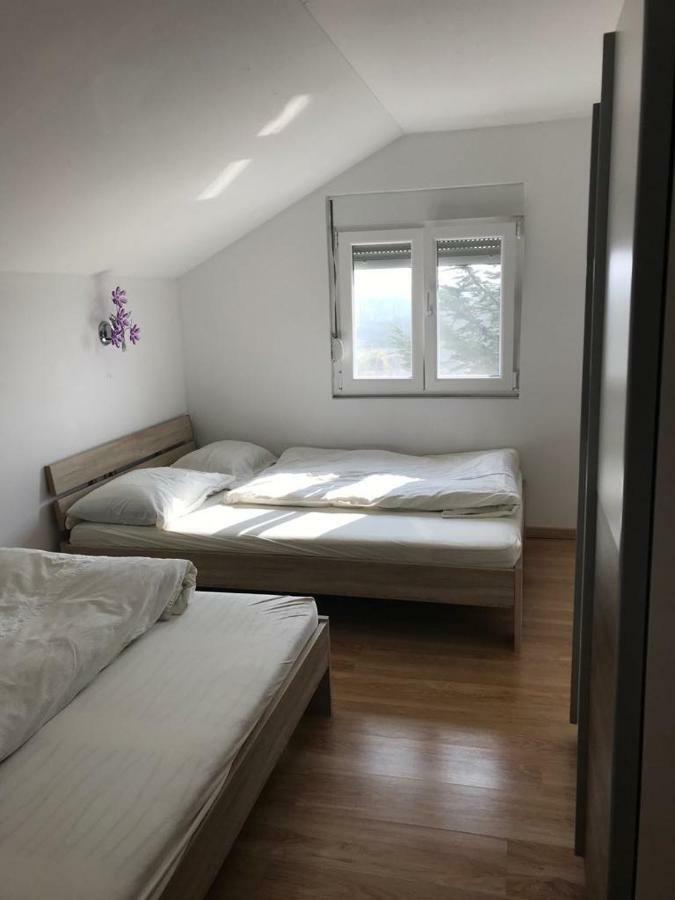 Apartmani Livk Debeljak エクステリア 写真